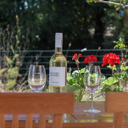 Viridis Appartement *