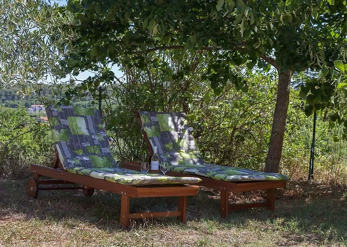 Viridis Διαμέρισμα